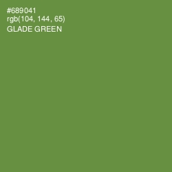 #689041 - Glade Green Color Image